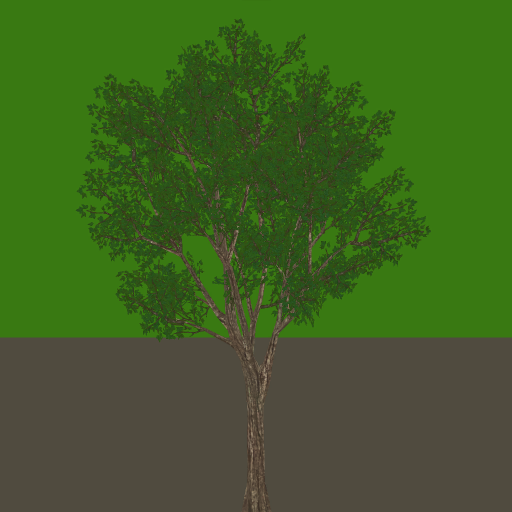 tr006_04_side_a.1