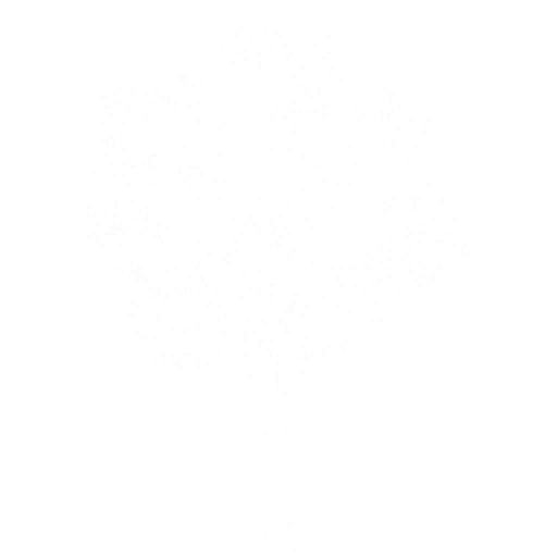 tr006_04_side_a.2
