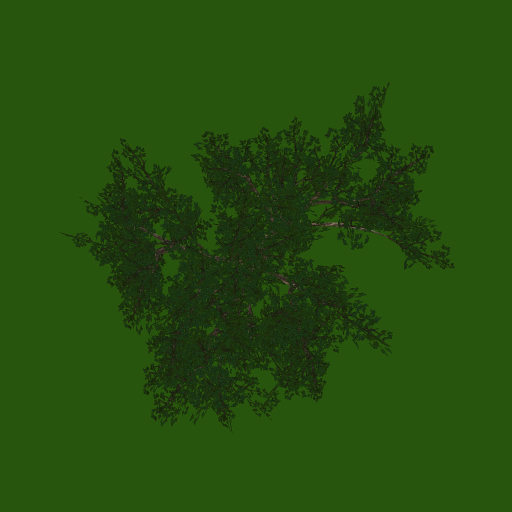tr006_04_top_a.1