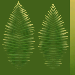 tr009_01_a.1