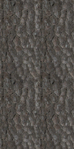 tr017_02.1