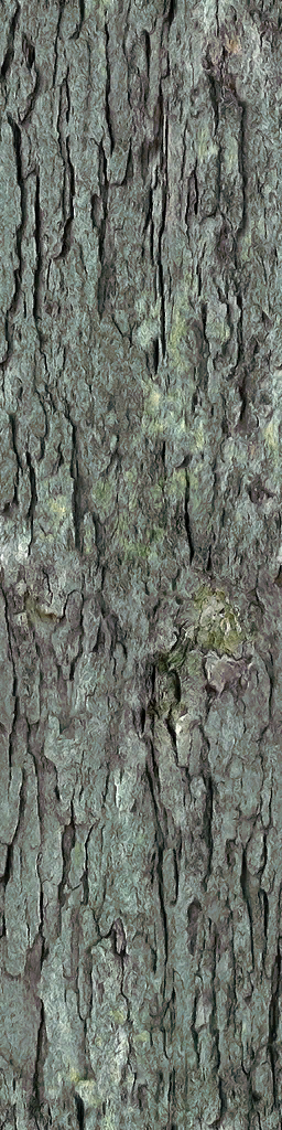tr018_02.1