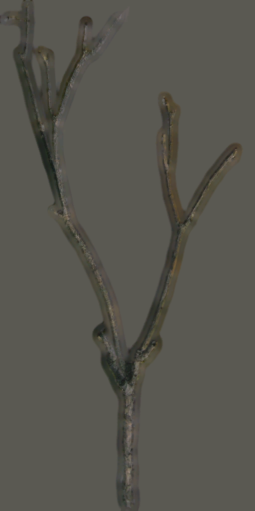 tr018_leaf01.1