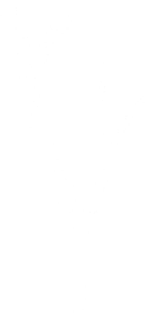 tr018_leaf01.2