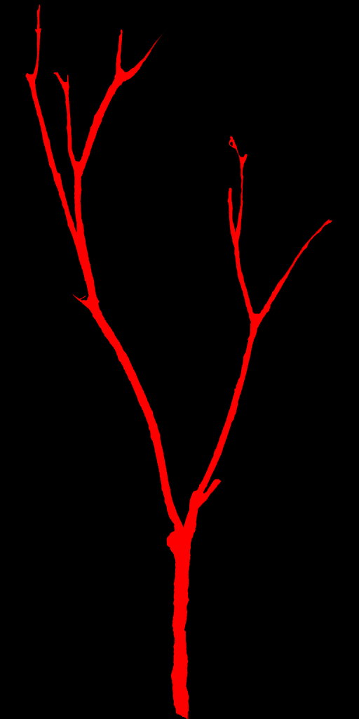 tr018_leaf01.a