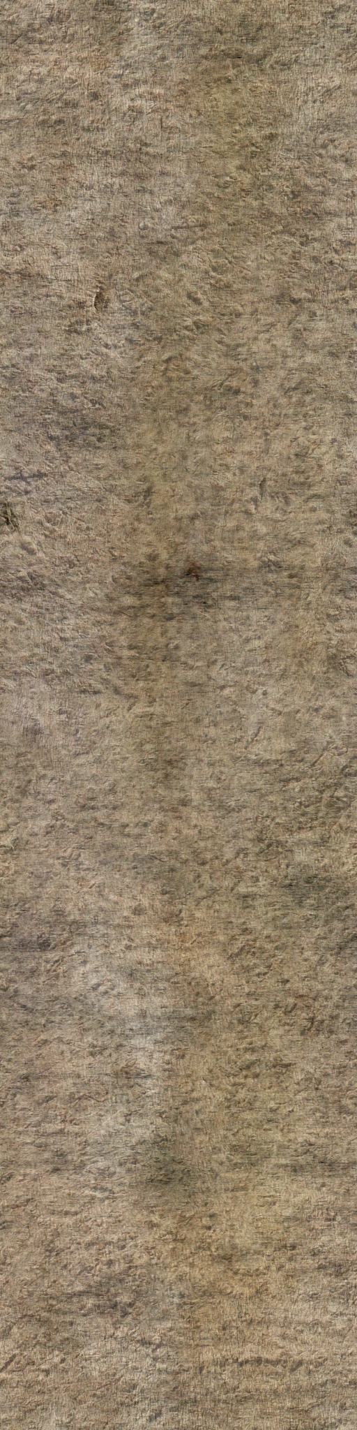 tr021_02.1