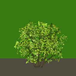 tr054_03_side_a.1