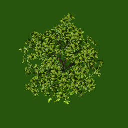 tr054_03_top_a.1