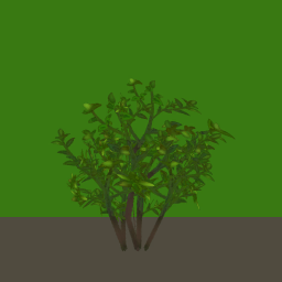 tr058_03_side_a.1