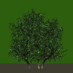 tr061_03_side_a.1
