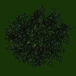 tr061_03_top_a.1