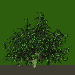 tr063_03_front_a.1