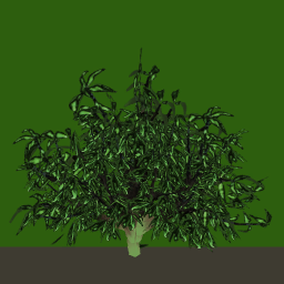 tr063_03_side_a.1