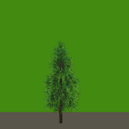 tr065_03_side_a.1