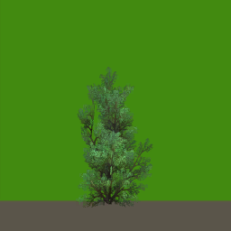 tr071_03_side_a.1