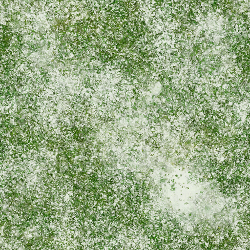 tr200_moss01.1