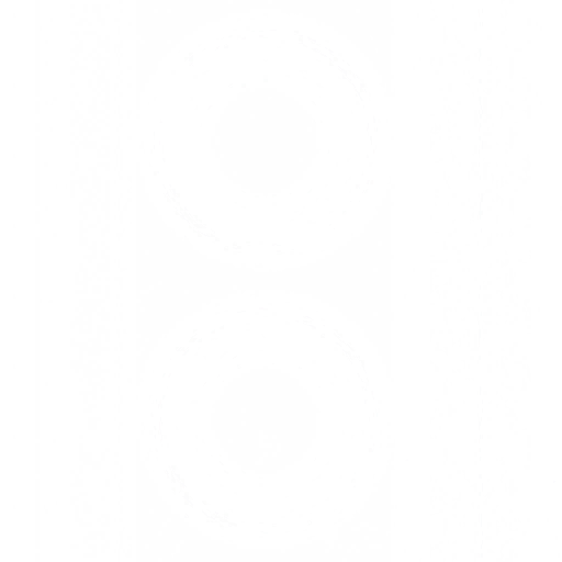 tr201_tire01.2