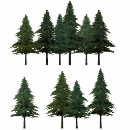 tree10d_01_a.1