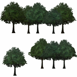 tree11d_01_a.1