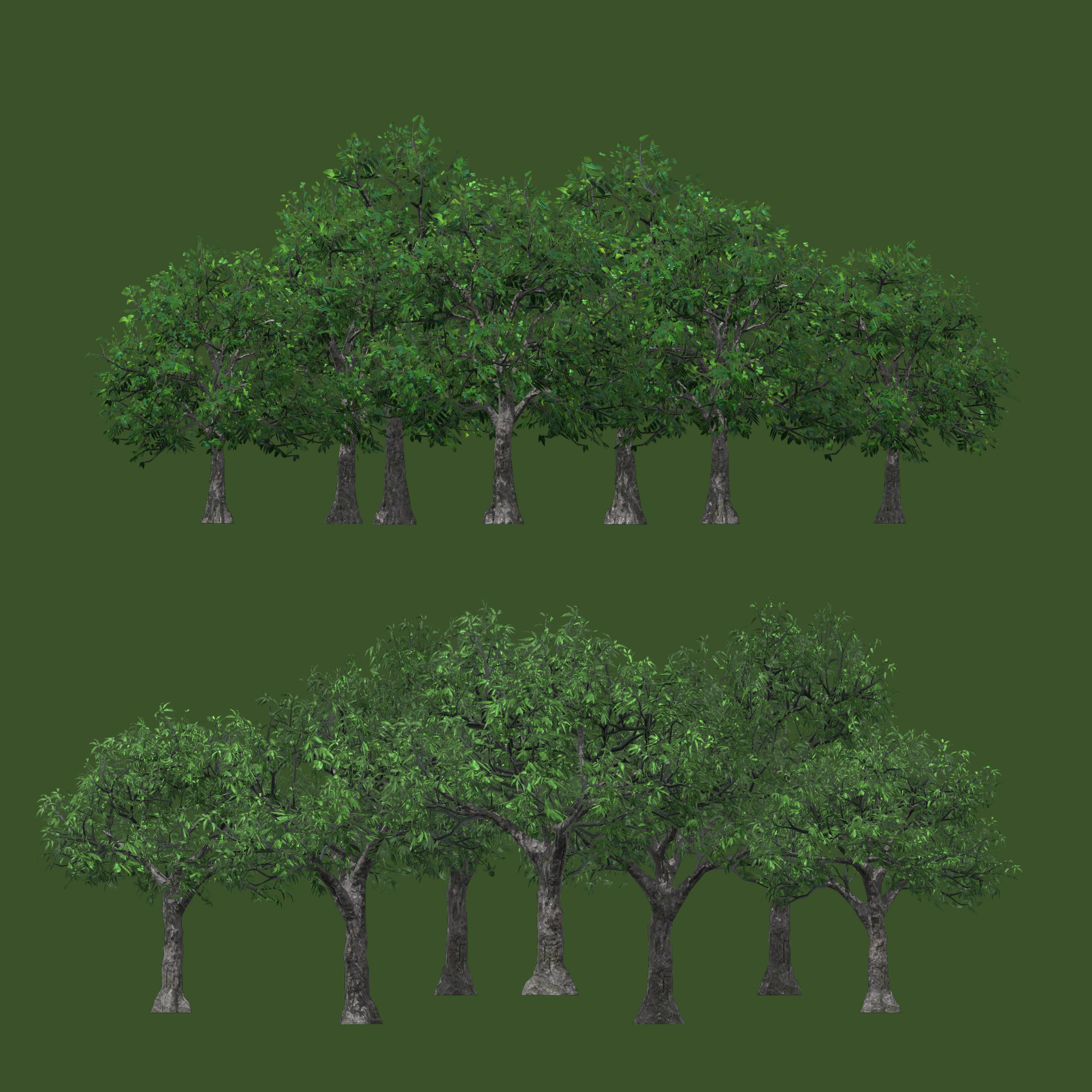 k01g_fartree05_a.1