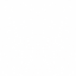 k01h107_flag.1