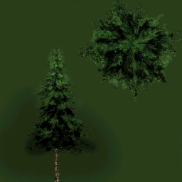 k01h907_tree01_a.1