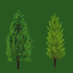 k01h_tree01_a.1