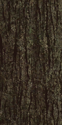 tr068_02.1