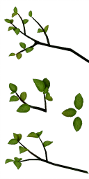 tr001_01_a.1