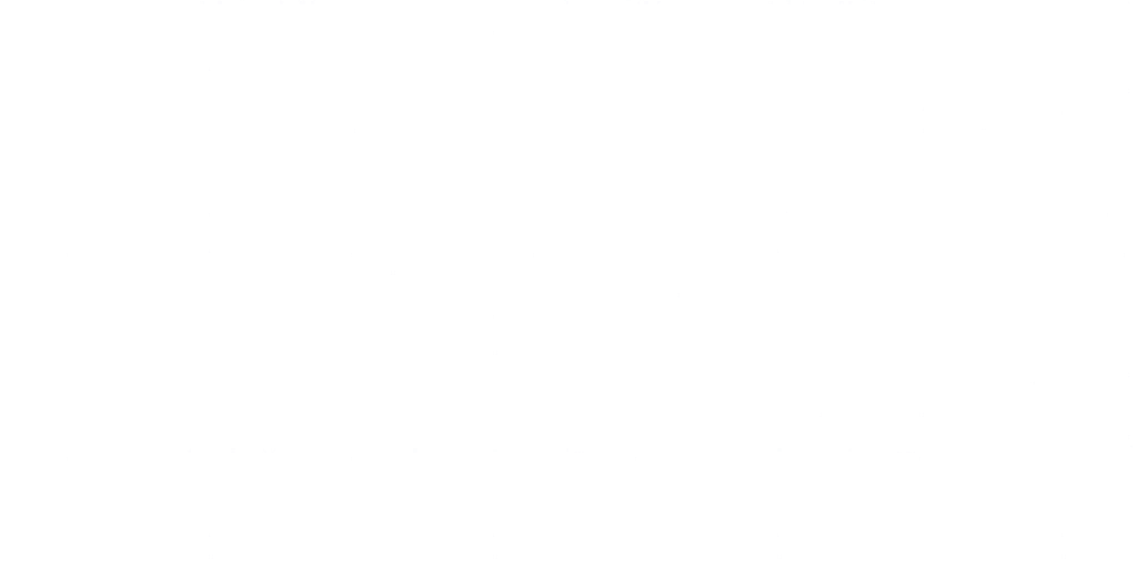 s01g001g_flag02.2