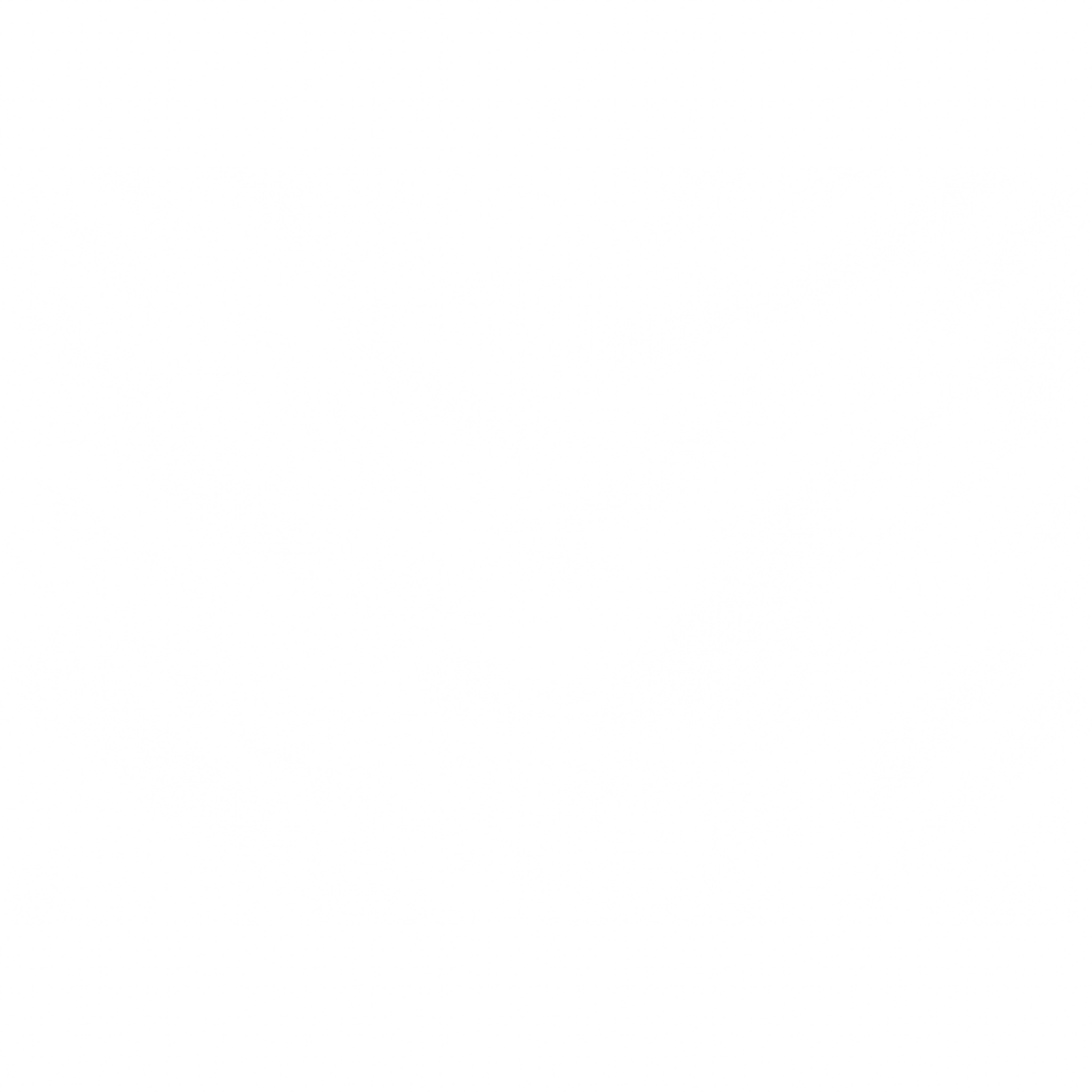 s01g001vr_flag01.2