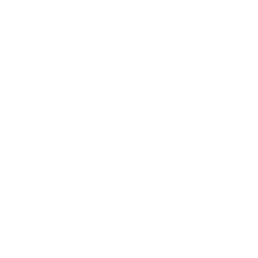 s01g001vr_flag02.2