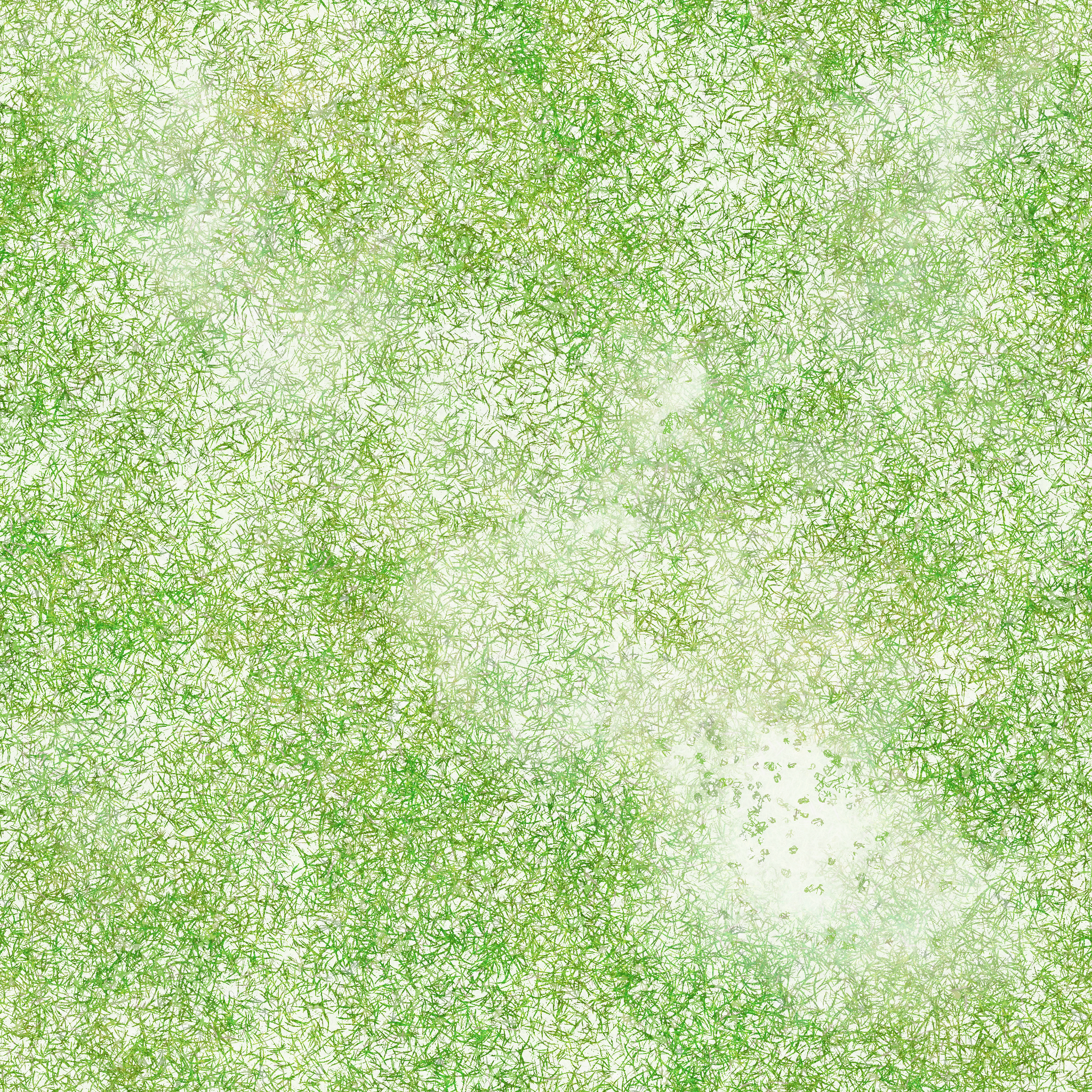 s02g001g_grass01_re.1