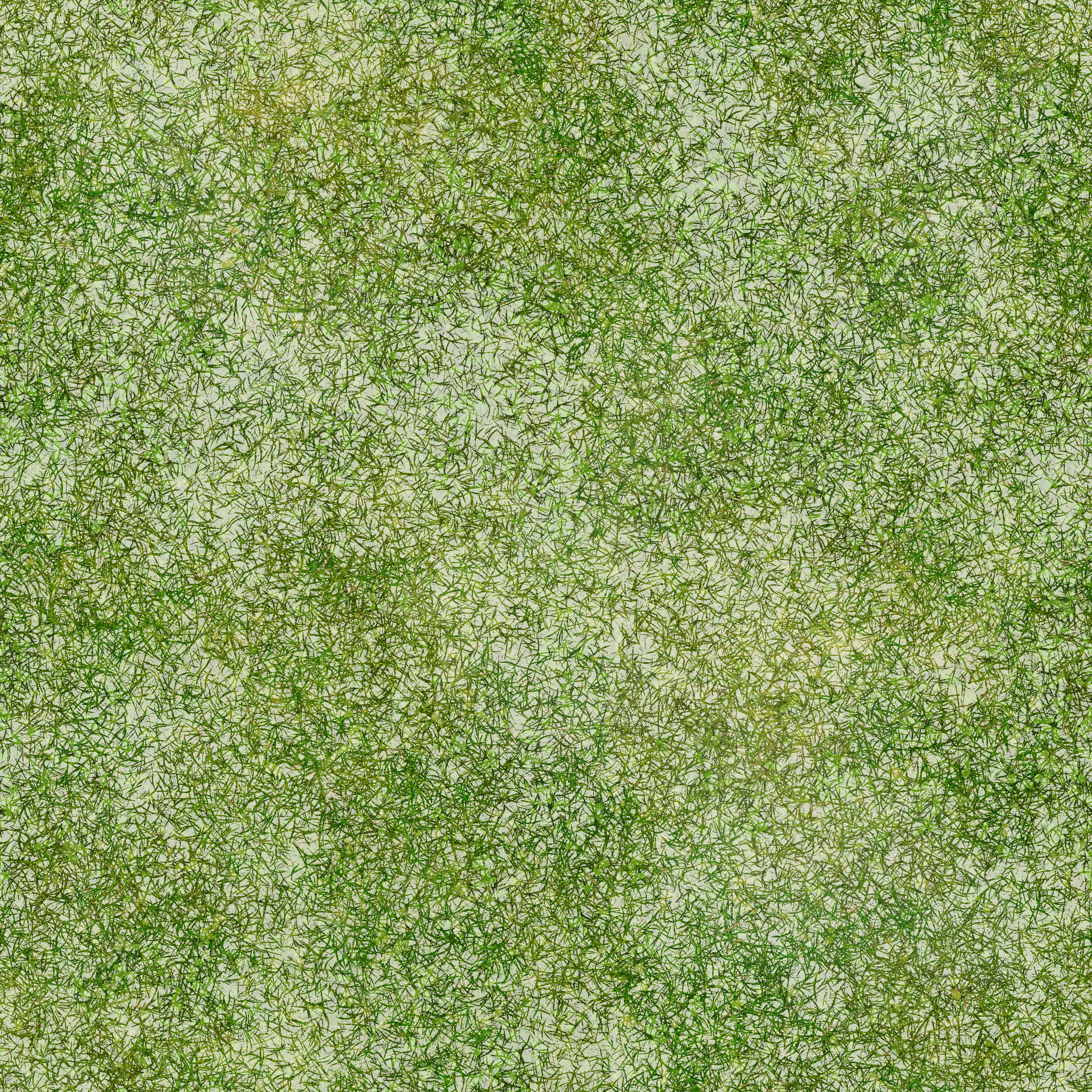 s02g001g_grass01_rim.1