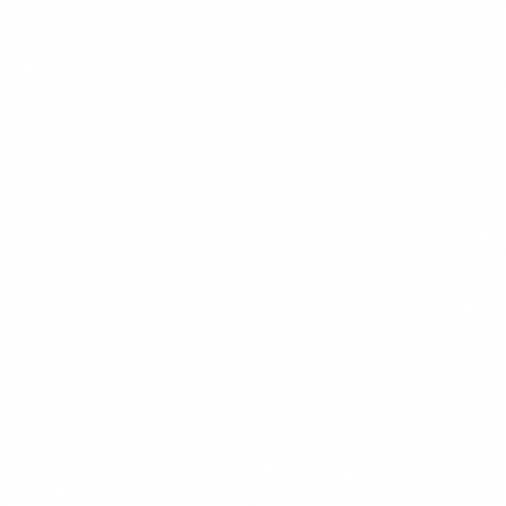 s02g001i_tile01_re.2