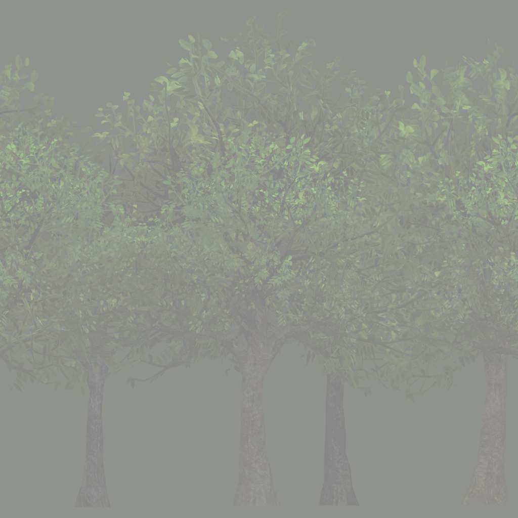 s09g001g_fartree02_a_re.1
