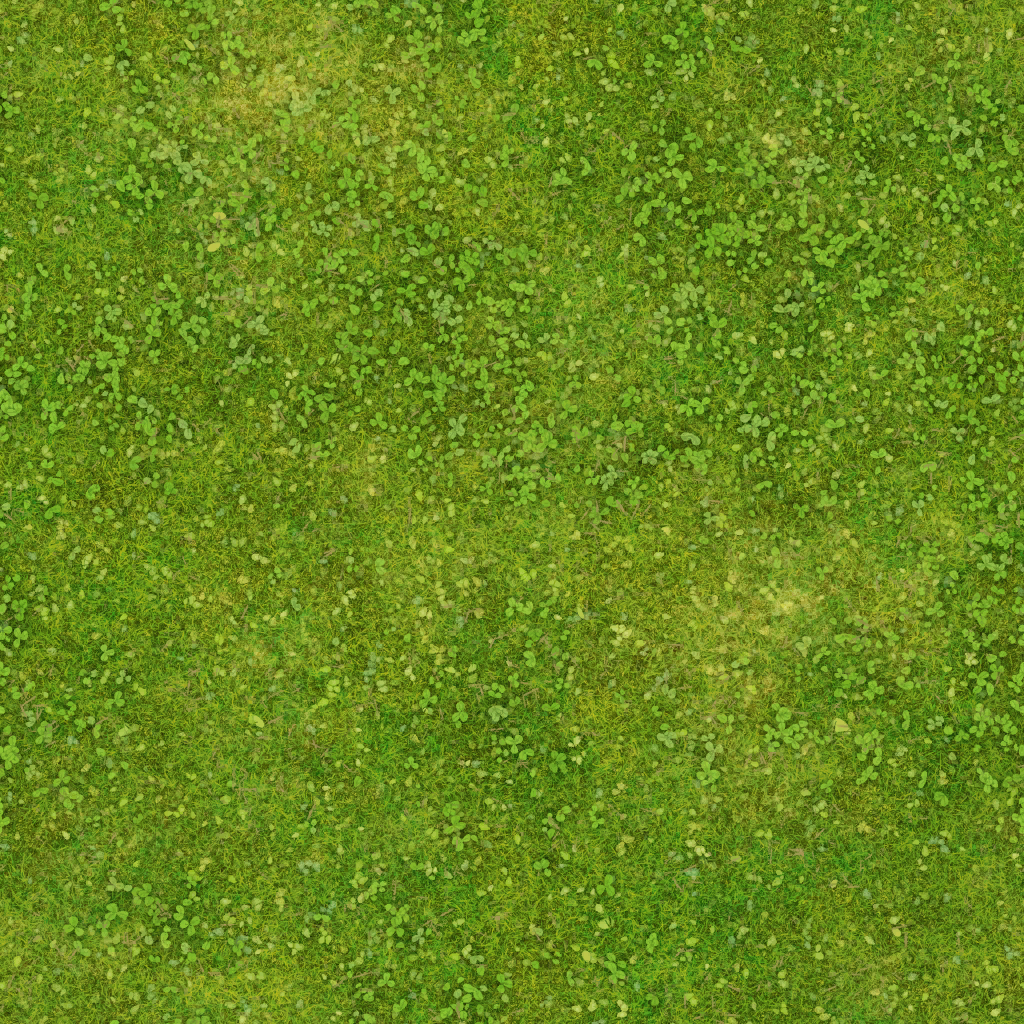 s09h004_grass01.1
