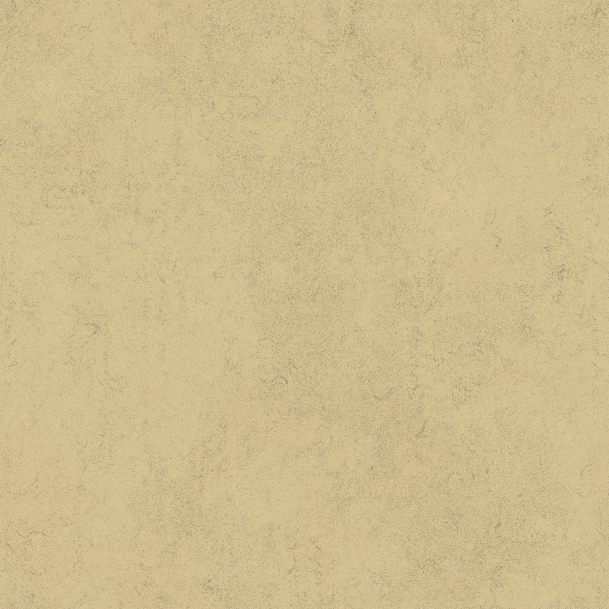 s10h_wall02_re.1