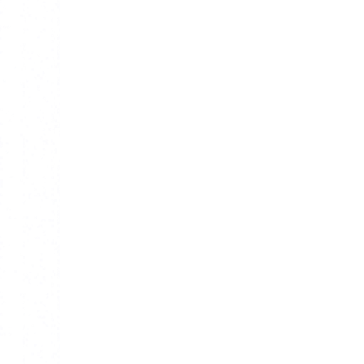 s11g001g_carpet01_re.2