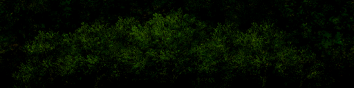 s14g001d_fartree01.1