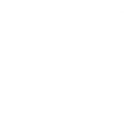 s14g001g_flag04.2