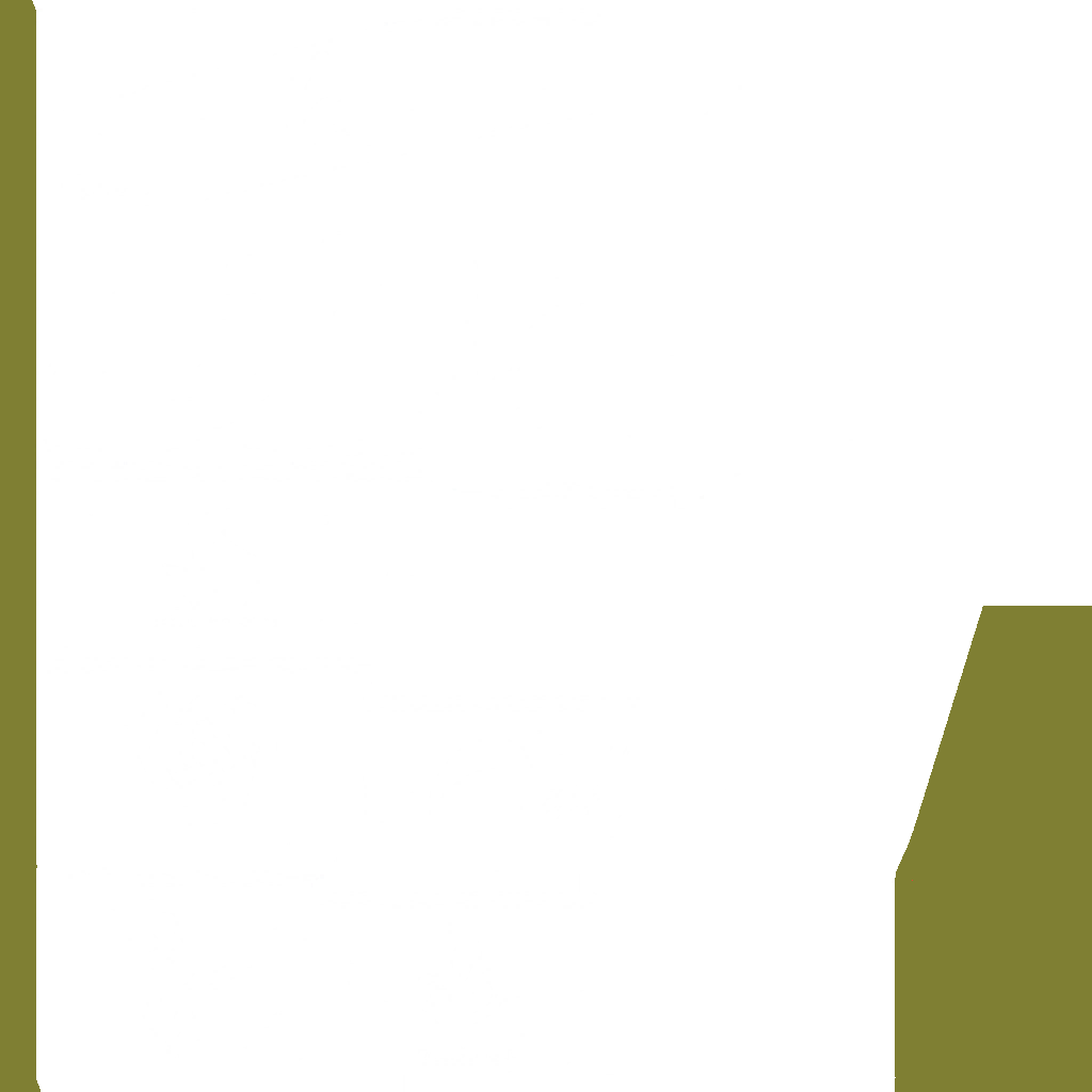 s17g001_flag01.2