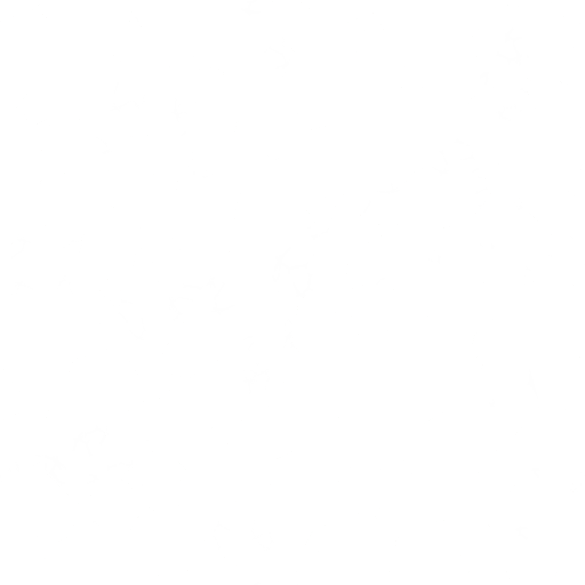 s19g001g_glass01_re.2