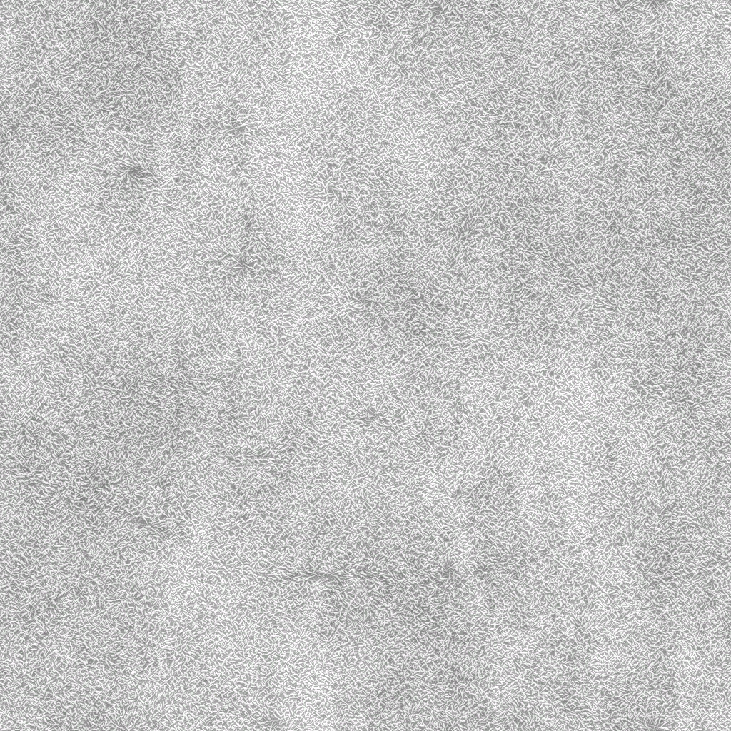 s21g001g_carpet01_re.1