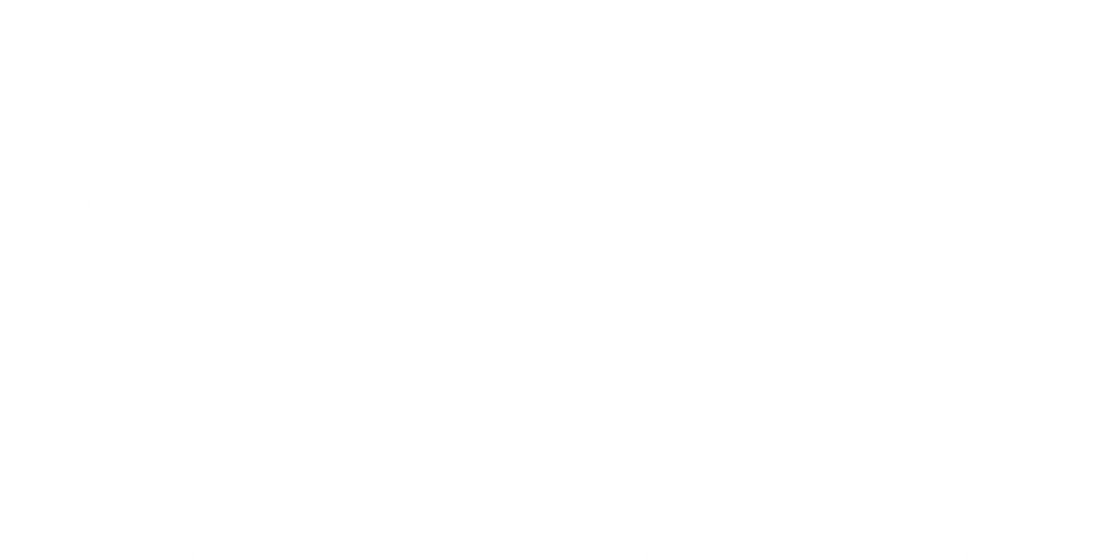 s25g001g_flag01.2