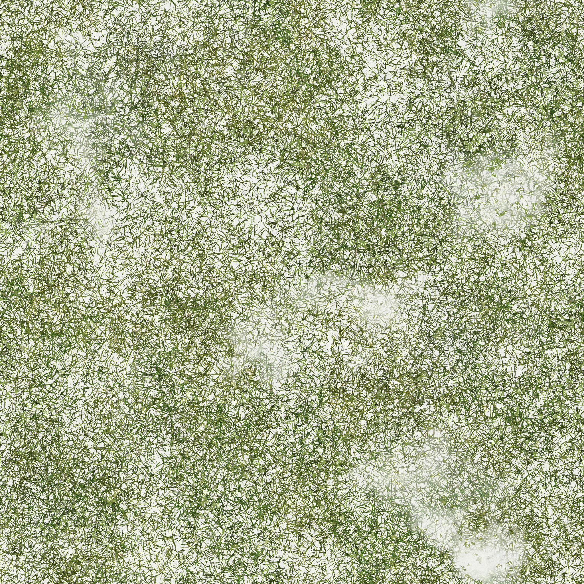 s28g001g_grass01_re.1