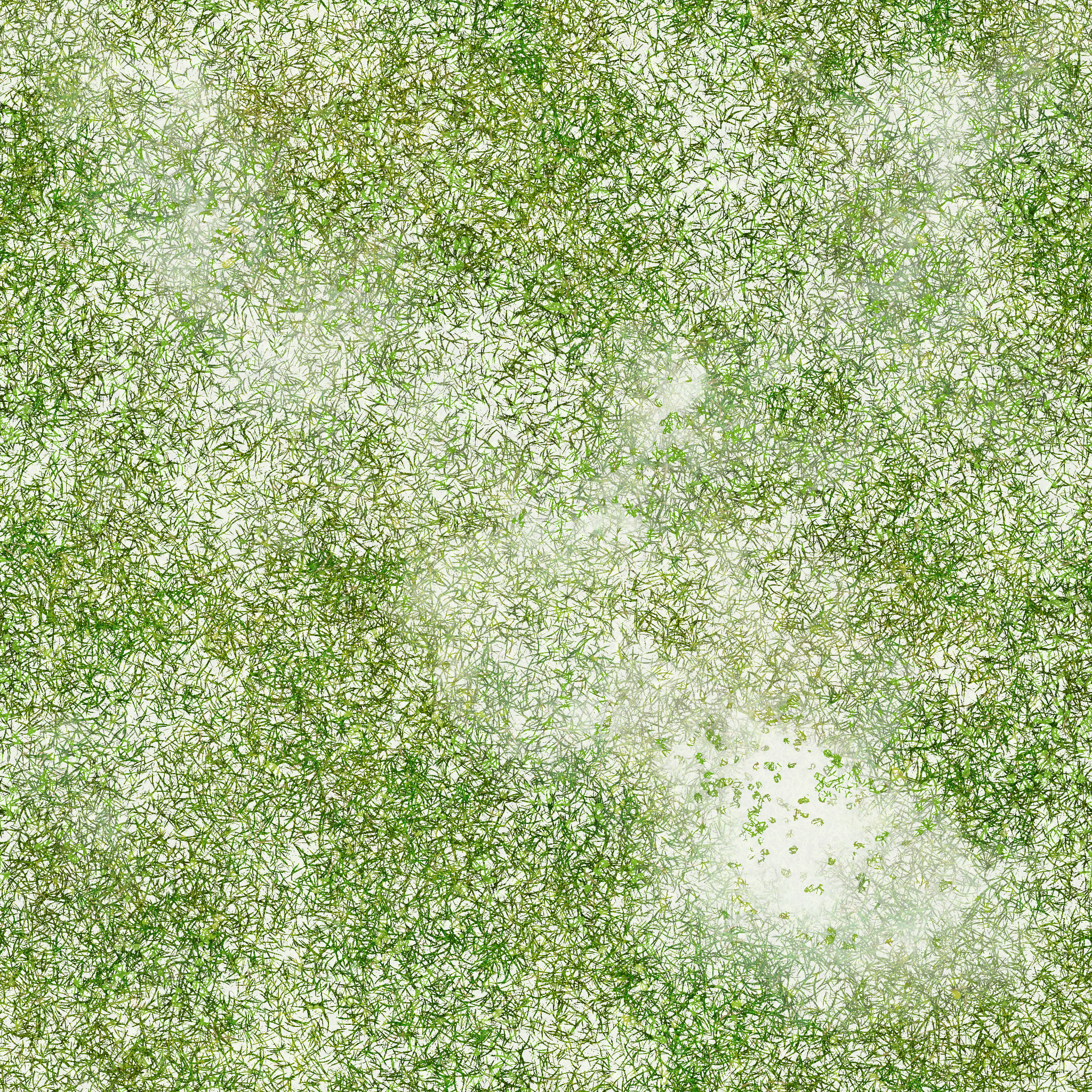 s29g001g_grass02_re.1