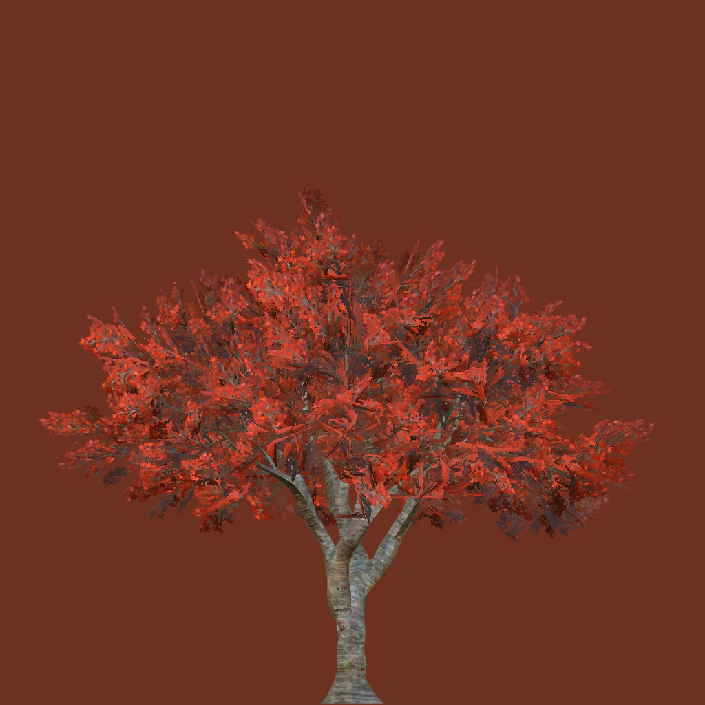 s29g001g_tree01_a.1