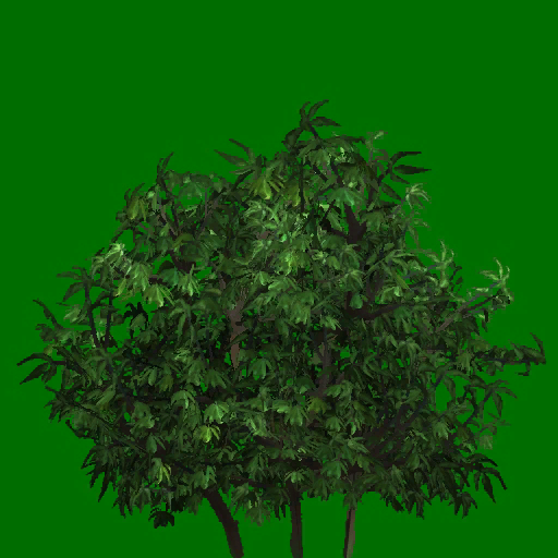 s29g001g_tree04_a.1
