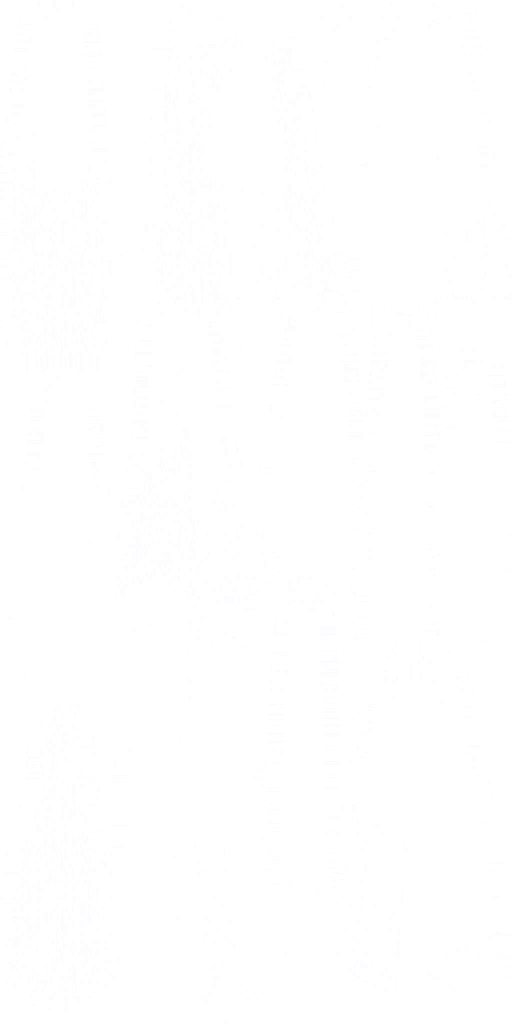 s30ao002_wood01.2
